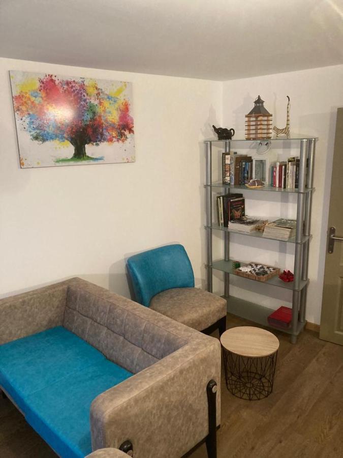 Appartement Plein Pied 45 M2 Baccarat Exterior photo